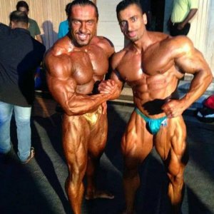 2013 Bodybuilding Images