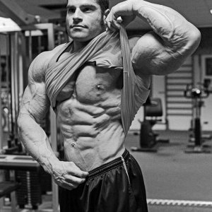 2013 Bodybuilding Images