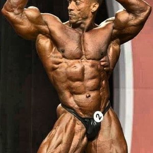 2013 Bodybuilding Images