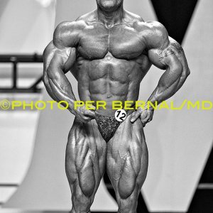 2013 Bodybuilding Images