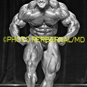 2013 Bodybuilding Images