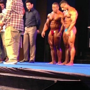 2013 Bodybuilding Images