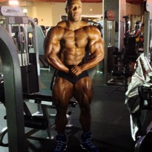 2013 Bodybuilding Images