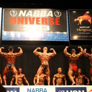 2013 Bodybuilding Images