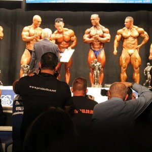 2013 Bodybuilding Images