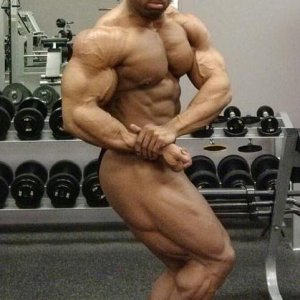 2013 Bodybuilding Images