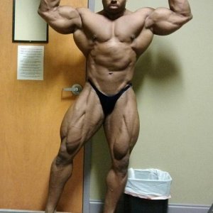 2013 Bodybuilding Images