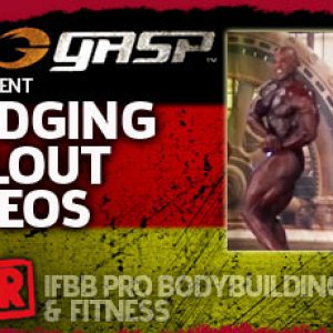 2013 Bodybuilding Images