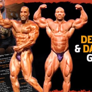 2013 Bodybuilding Images