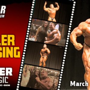 2013 Bodybuilding Images