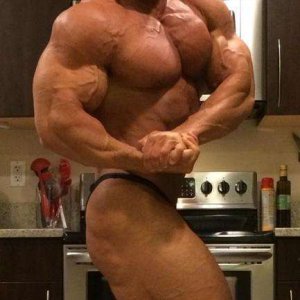 2013 Bodybuilding Images