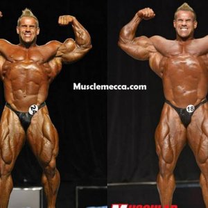 2013 Bodybuilding Images