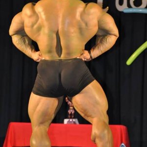 2013 Bodybuilding Images