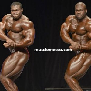 2013 Bodybuilding Images