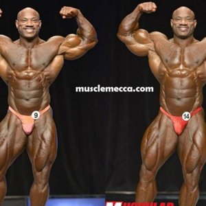 2013 Bodybuilding Images