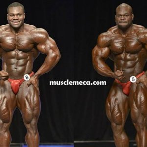 2013 Bodybuilding Images