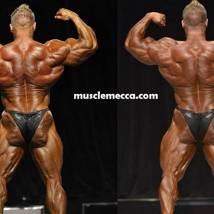 2013 Bodybuilding Images