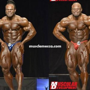 2013 Bodybuilding Images