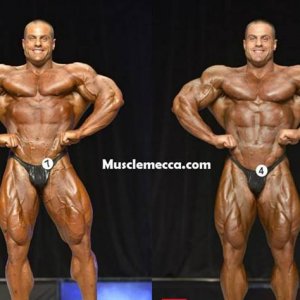 2013 Bodybuilding Images