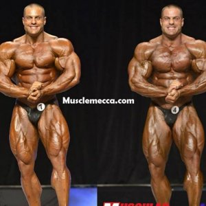 2013 Bodybuilding Images