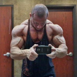 2013 Bodybuilding Images