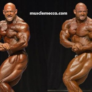 2013 Bodybuilding Images