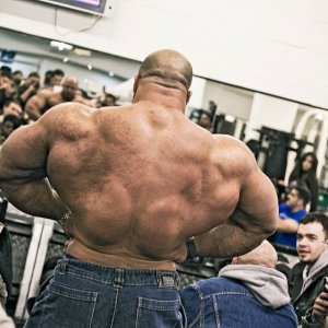 2013 Bodybuilding Images