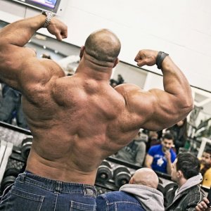 2013 Bodybuilding Images