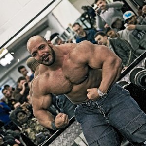 2013 Bodybuilding Images