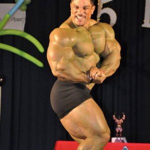 2013 Bodybuilding Images