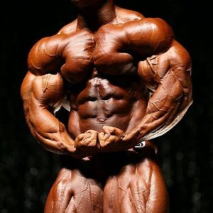 2013 Bodybuilding Images