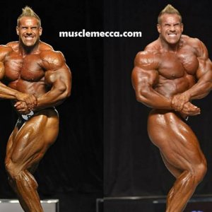 2013 Bodybuilding Images