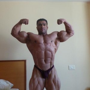 2013 Bodybuilding Images