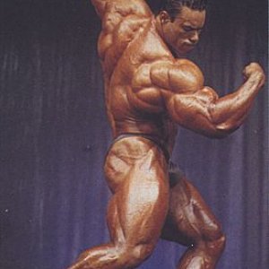 2013 Bodybuilding Images