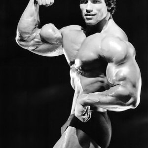 2013 Bodybuilding Images