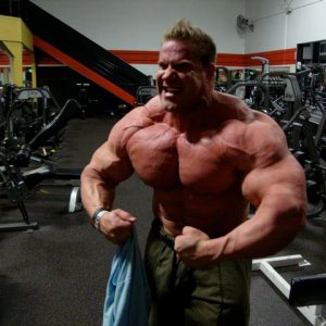 2013 Bodybuilding Images