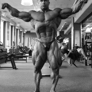 2013 Bodybuilding Images