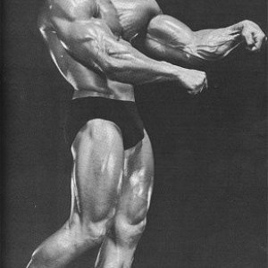 2013 Bodybuilding Images