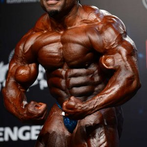 2013 Bodybuilding Images