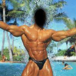 2013 Bodybuilding Images