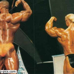 2013 Bodybuilding Images