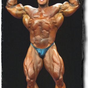 2013 Bodybuilding Images