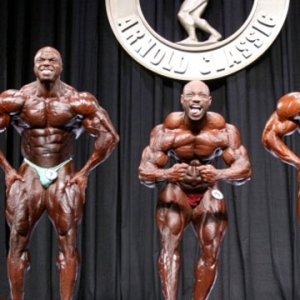 2013 Bodybuilding Images