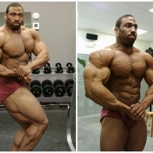 2013 Bodybuilding Images