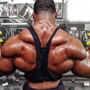 2013 Bodybuilding Images