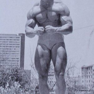 2013 Bodybuilding Images