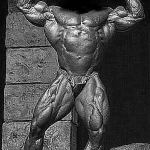 2013 Bodybuilding Images