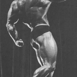 2013 Bodybuilding Images