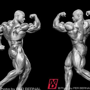 2013 Bodybuilding Images