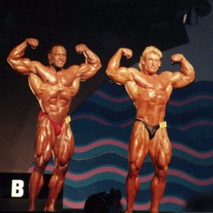 2013 Bodybuilding Images